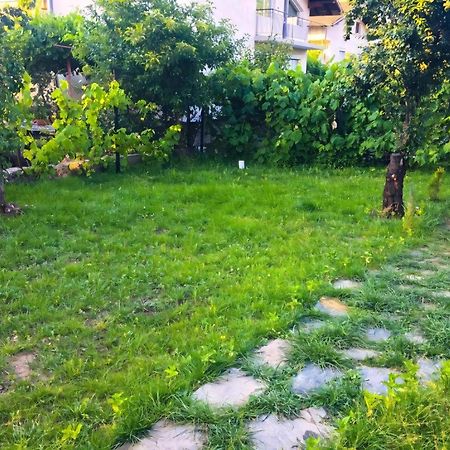 Alpin Guest House Sapareva Banya Luaran gambar