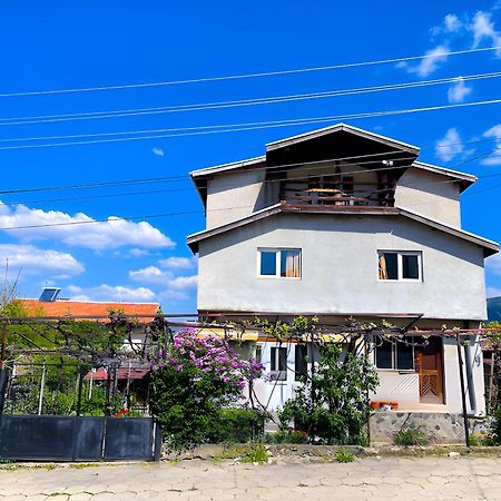 Alpin Guest House Sapareva Banya Luaran gambar