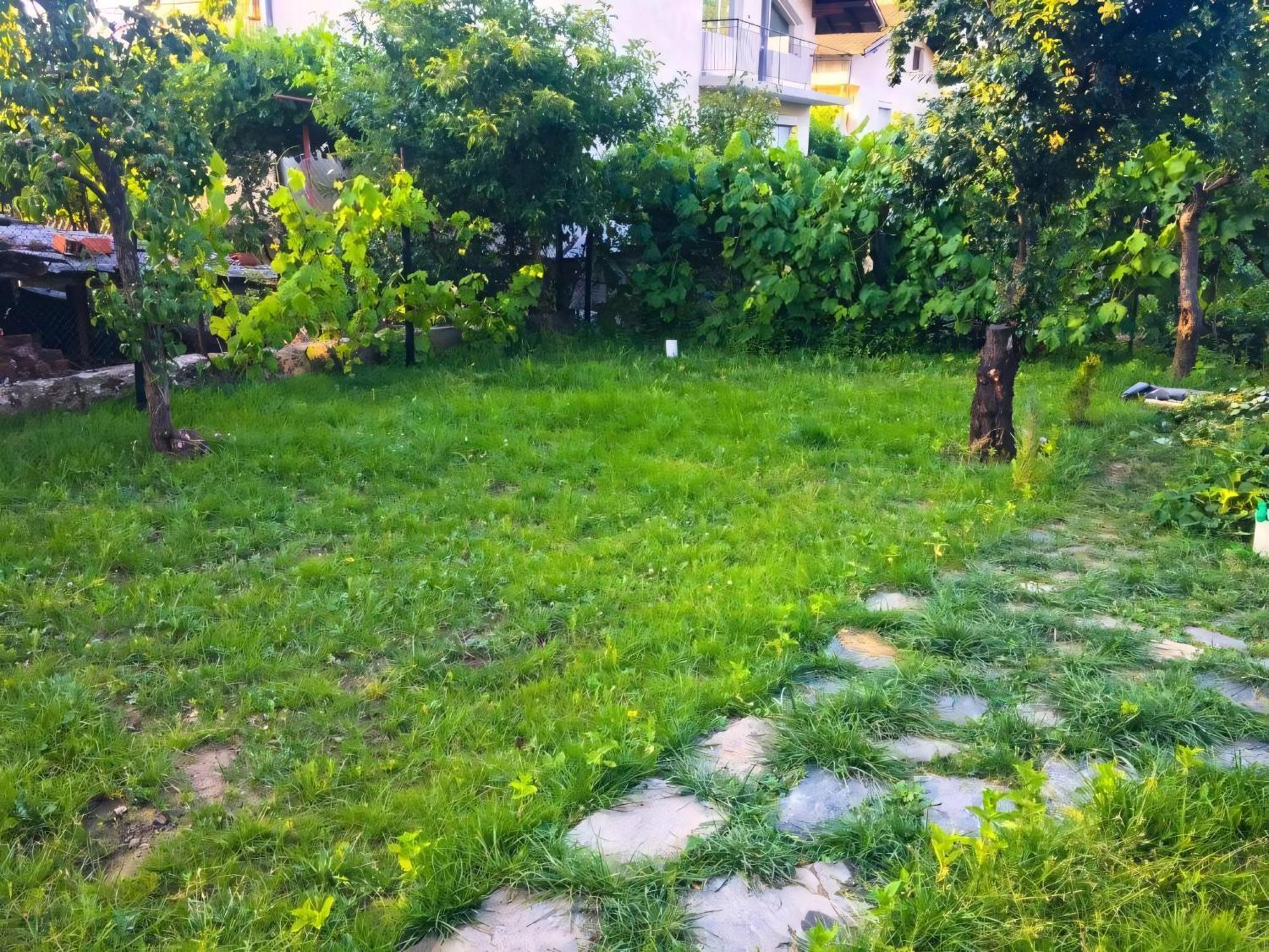 Alpin Guest House Sapareva Banya Luaran gambar